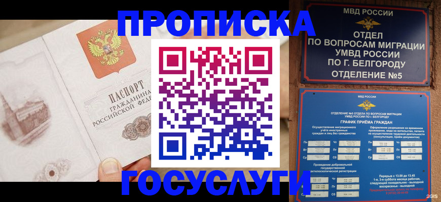 временная регистрация адрес в Славгороде